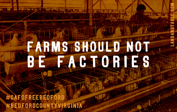 CAFO Nation: The Rise of Industrial-Scale Livestock Production - 