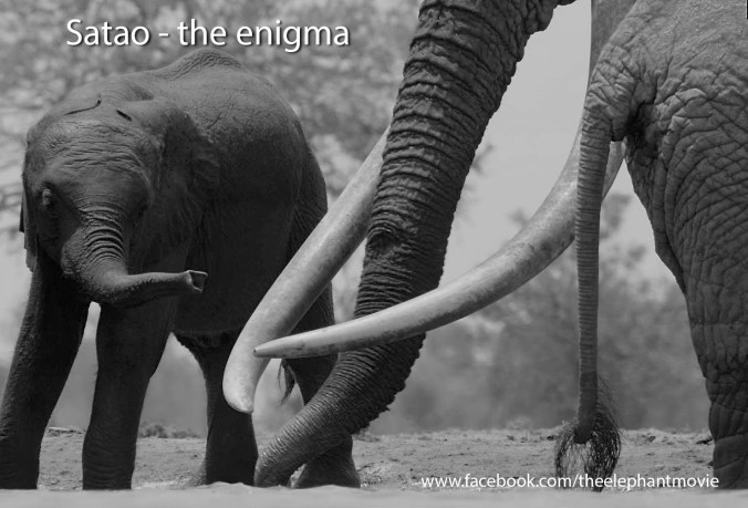 obeisance with fb tag